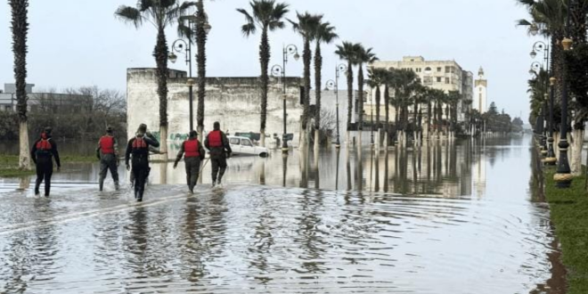 Capture decran 2026 02 05 133530