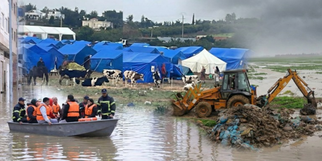 Capture decran 2026 02 06 190657