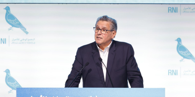 Capture decran 2026 02 07 204343