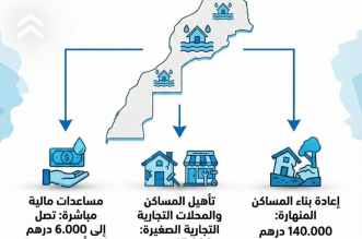 Capture decran 2026 02 13 135556