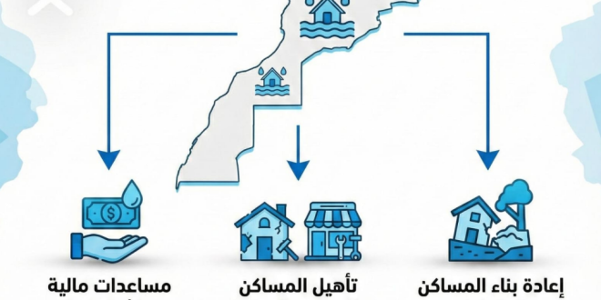 Capture decran 2026 02 13 135556