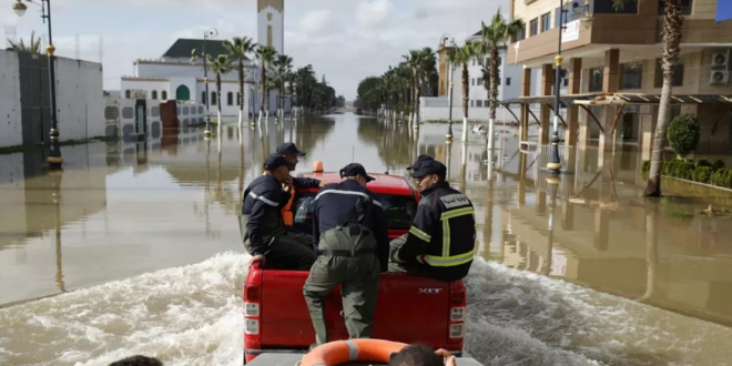 Capture decran 2026 02 14 120124