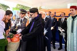 Capture decran 2026 02 22 001742