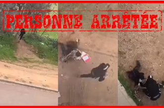 Capture decran 2026 02 24 215252