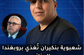 Capture decran 2026 02 27 015845