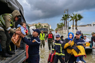 Gemini Generated Image eo89b9eo89b9eo89 e1770650463775