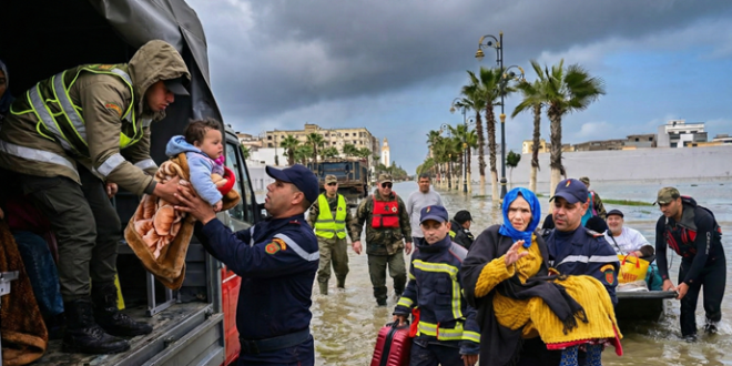 Gemini Generated Image eo89b9eo89b9eo89 e1770650463775