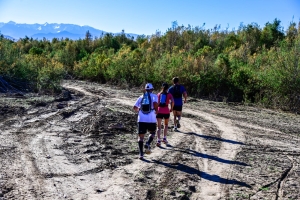 WhatsApp Image 2026 02 04 at 11.49.33 3