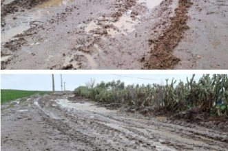 WhatsApp Image 2026 02 23 at 12.32.10