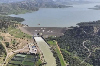 download 2026 02 04T160135.573