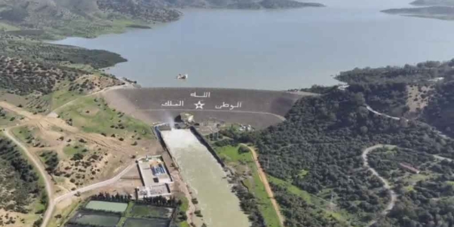 download 2026 02 04T160135.573