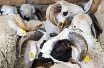 66699fb16a188 768x512 1