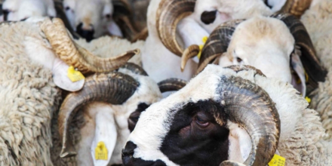 66699fb16a188 768x512 1