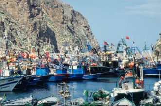 66d1e897c23fe 768x496 1