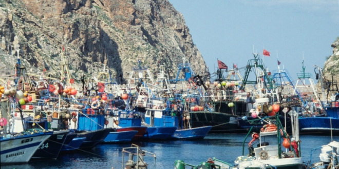 66d1e897c23fe 768x496 1