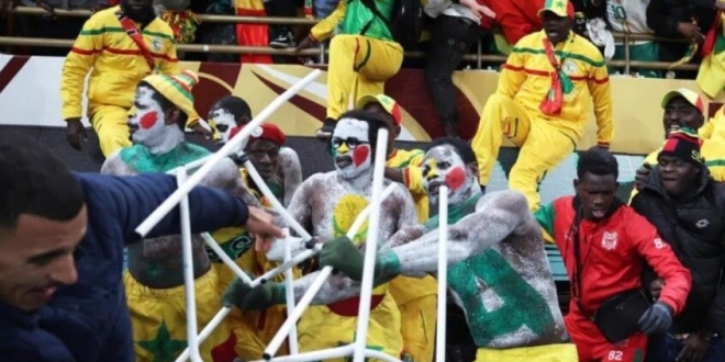 69981381423604378e55d84a