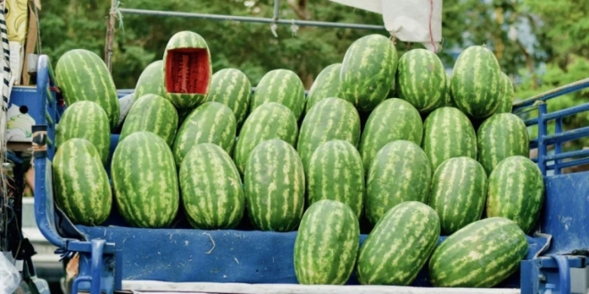 69a570f34a7e6 768x452 1