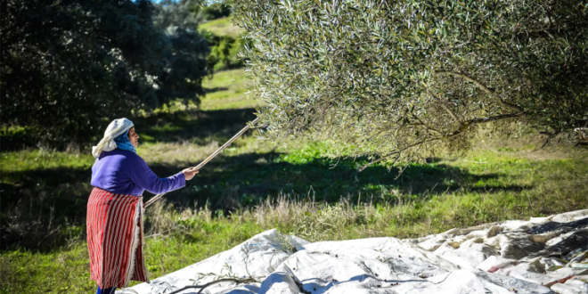 69c4f1cdc5fdd 768x432 1