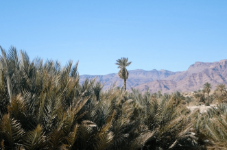 69ca94450bdd0 768x576 1