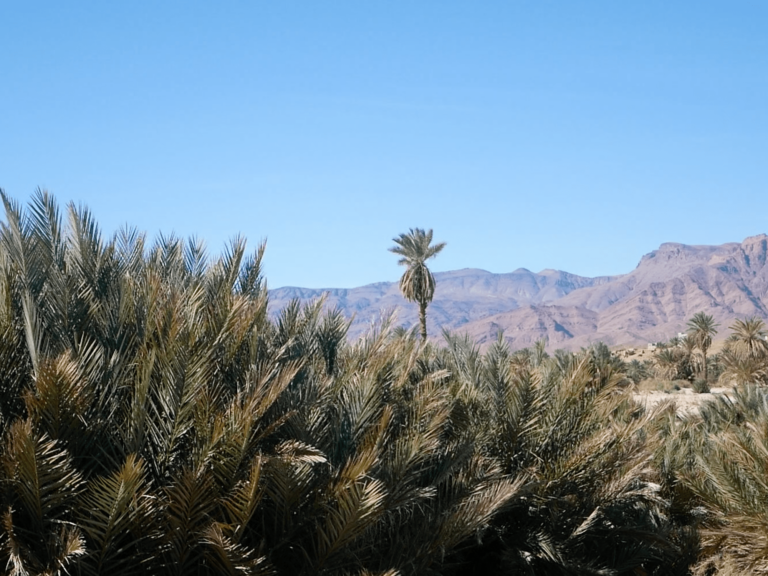 69ca94450bdd0 768x576 1