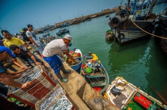 7QzpiUsjZnxiV41f qaTCpDtkKZX3zhONu5XX4XsOMMOXr54Nx8I 2nprVqCnBeeBRJPOui4usPjzYQOSMzcRkiGN8W2J4Y29sbvX5C6PtGddhVBPguX63jWnoQTMfbpuqrAAeMjxsCmyUsnRaoL1owFlhoiUN 4dsQfXrUv9Bw