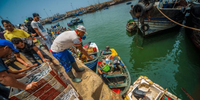 7QzpiUsjZnxiV41f qaTCpDtkKZX3zhONu5XX4XsOMMOXr54Nx8I 2nprVqCnBeeBRJPOui4usPjzYQOSMzcRkiGN8W2J4Y29sbvX5C6PtGddhVBPguX63jWnoQTMfbpuqrAAeMjxsCmyUsnRaoL1owFlhoiUN 4dsQfXrUv9Bw