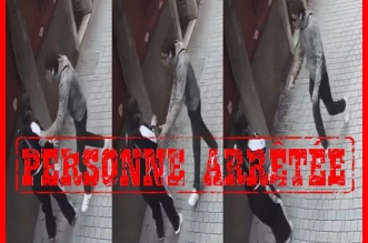 8876b599 9cb9 4355 983b dfe295fd462a