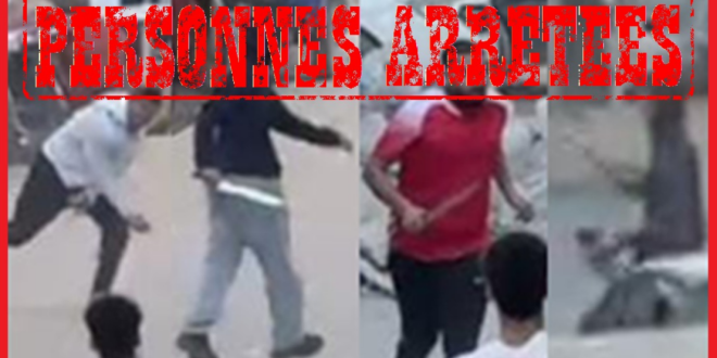 Capture decran 2026 03 03 000050