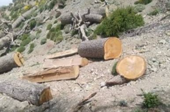 Capture decran 2026 03 09 214119