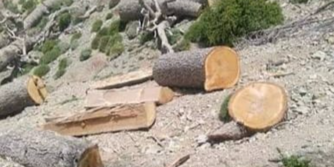 Capture decran 2026 03 09 214119