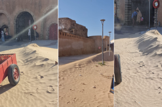 Capture decran 2026 03 09 225130