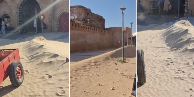 Capture decran 2026 03 09 225130