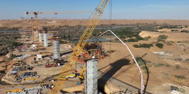 Capture decran 2026 03 11 220655