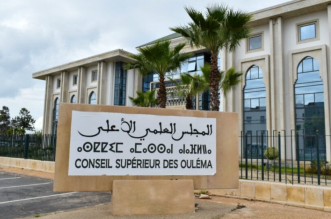 Capture decran 2026 03 12 005355