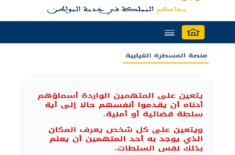 Capture decran 2026 03 12 173316