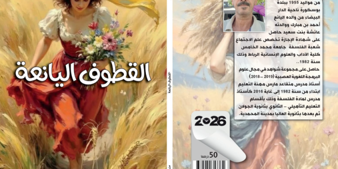 Capture decran 2026 03 17 231847