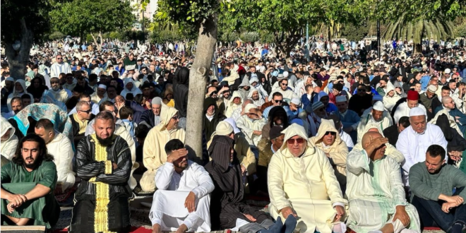 Capture decran 2026 03 19 221041