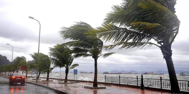 Capture decran 2026 03 23 120820