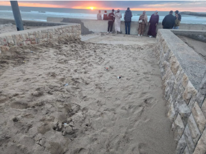 Capture decran 2026 03 23 155908