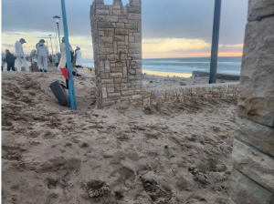 Capture decran 2026 03 23 155915