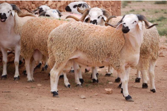 Capture decran 2026 03 23 191356