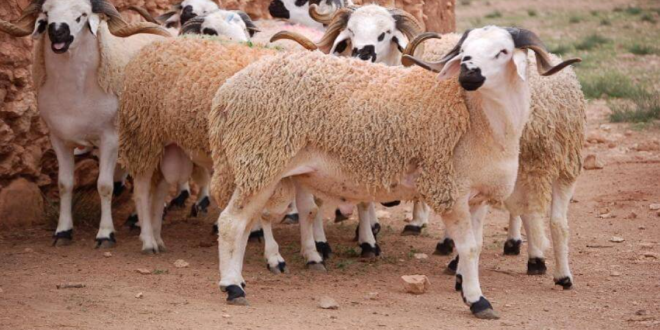 Capture decran 2026 03 23 191356