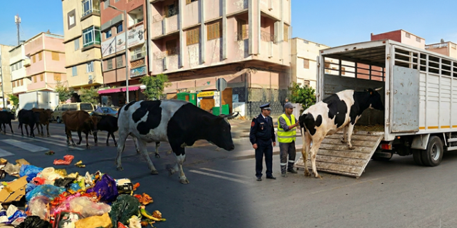 Gemini Generated Image h126tgh126tgh126