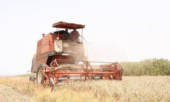 WhatsApp Image 2026 03 24 at 16.01.56