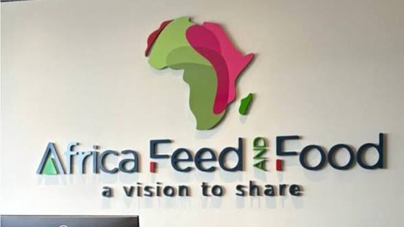 africa feed and food