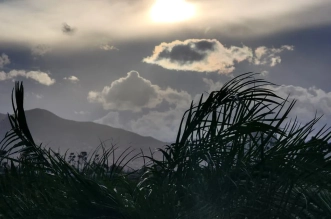 d43134f0 5ce3 4427 a985 bde99aab089a