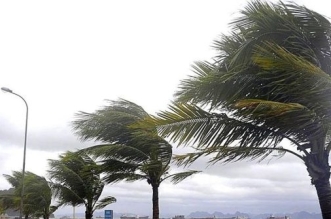 000000000000000000000000000000 5 600x335 1