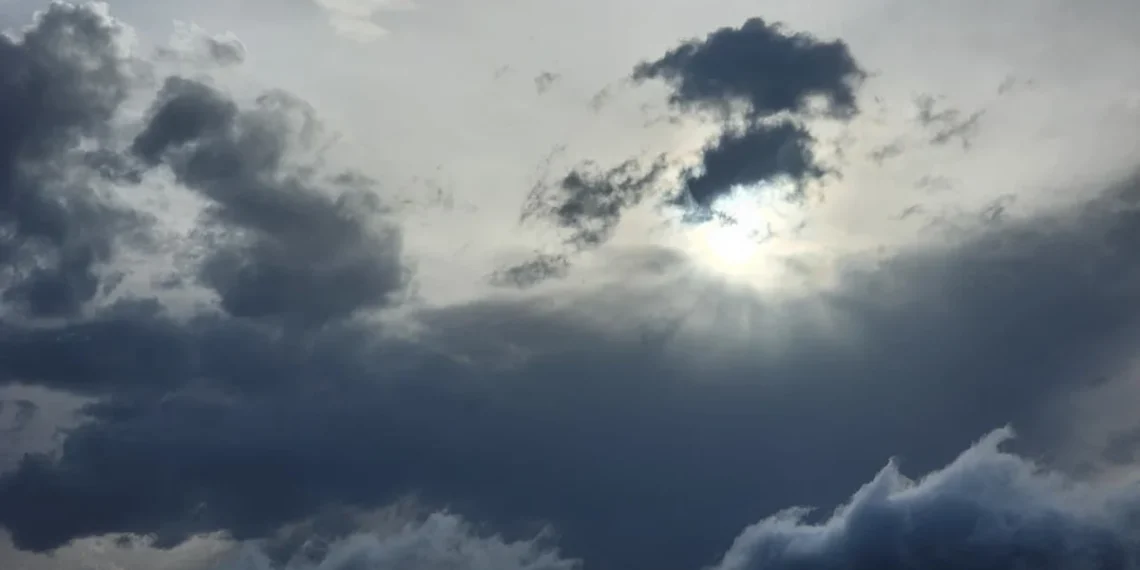 1c3a9b60 95df 4055 92f9 efe69a34aaf7