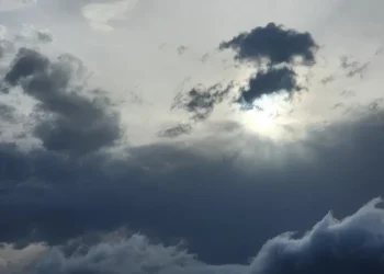 1c3a9b60 95df 4055 92f9 efe69a34aaf7