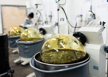 66e40b059eef3 768x485 1